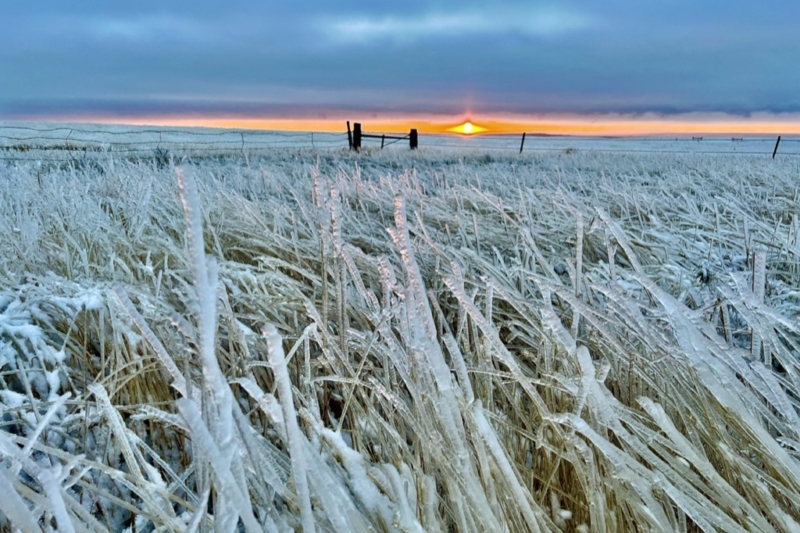 Tailgate Debates: Hunters’ Perspectives